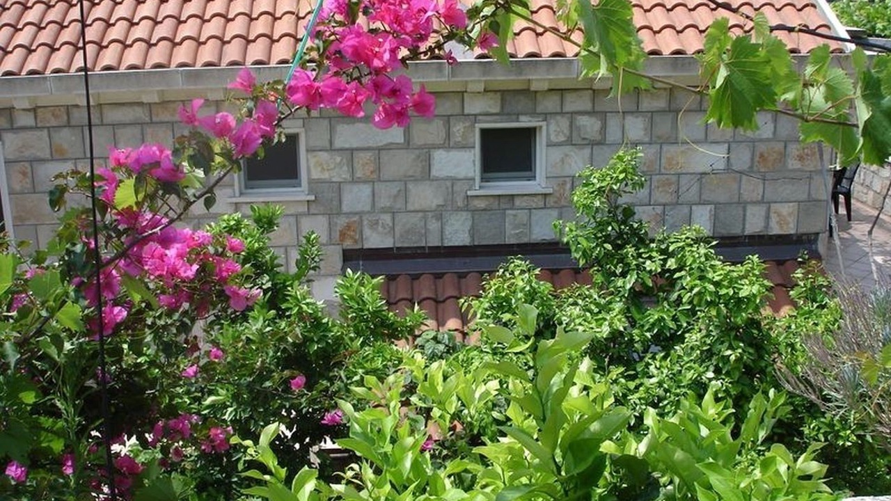 Photo of Outdoor in Saplunara