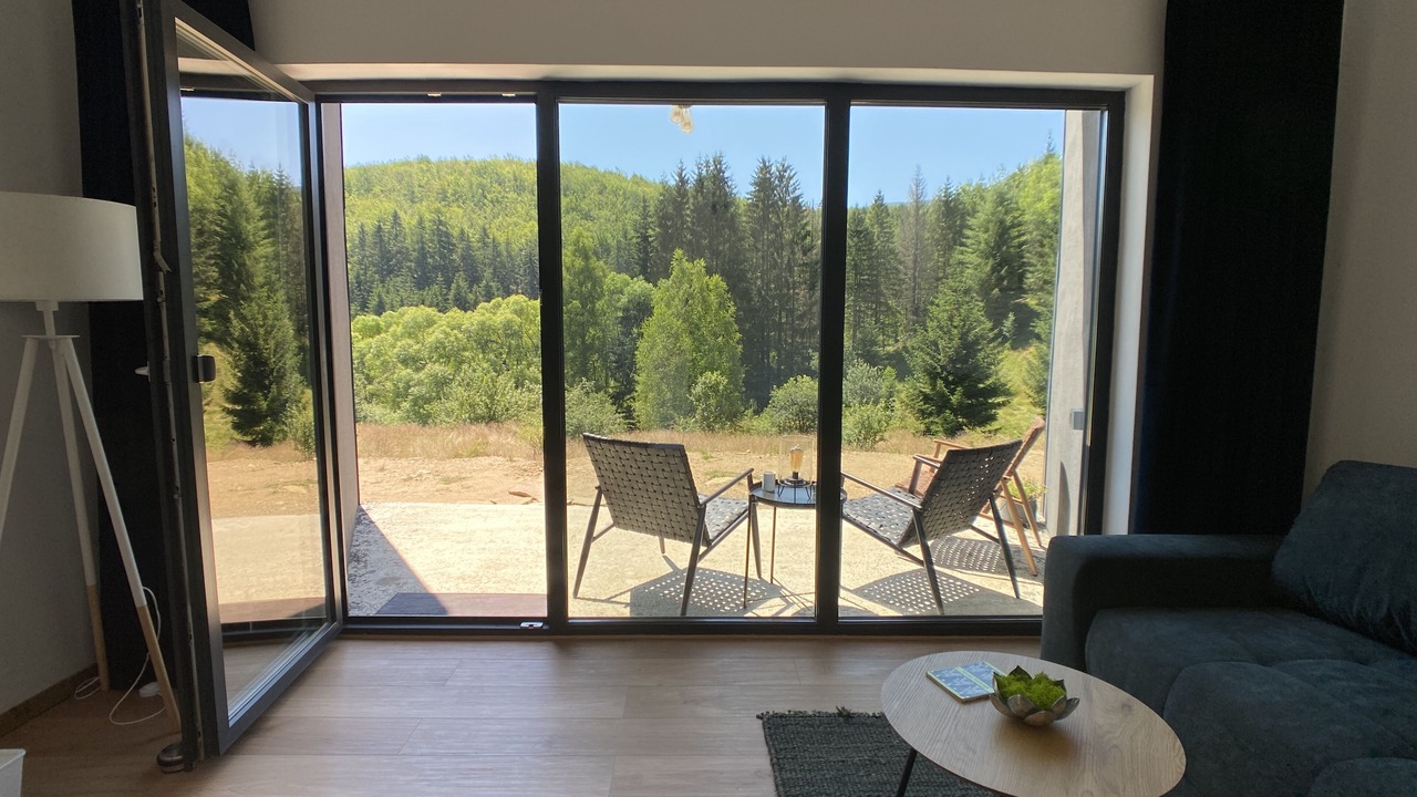 Photo of Livingroom in Brebu Nou