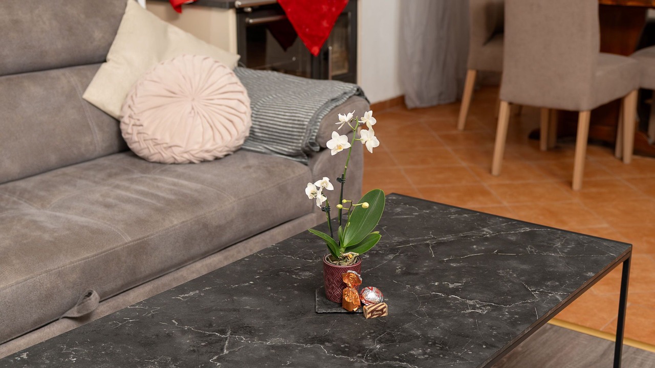 Photo of Livingroom in Maslenica