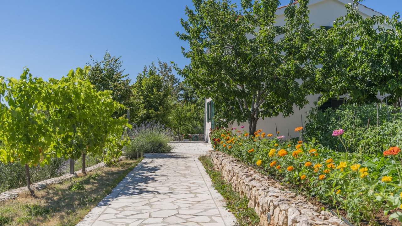 Photo of Outdoor in Cista Provo