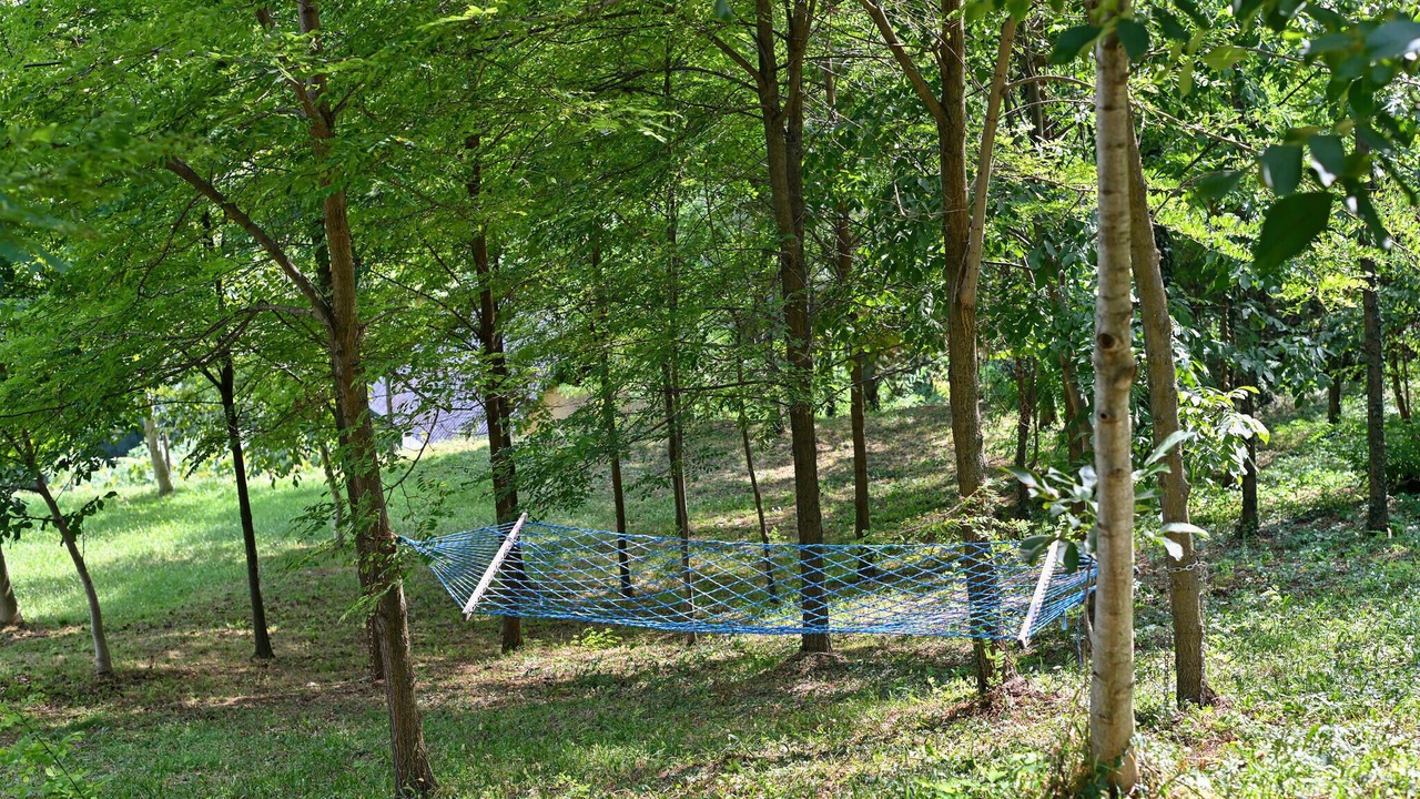 Photo of Others in Klenovnik
