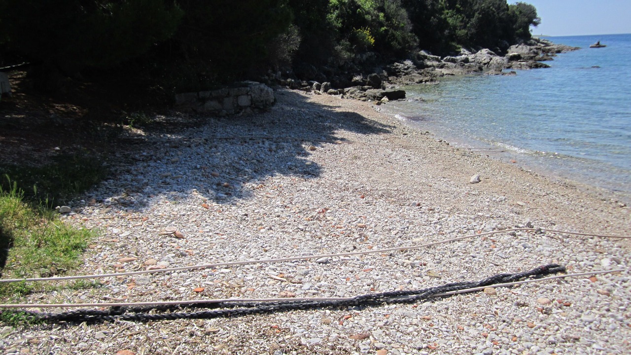 Photo of Others in Sveti Jakov