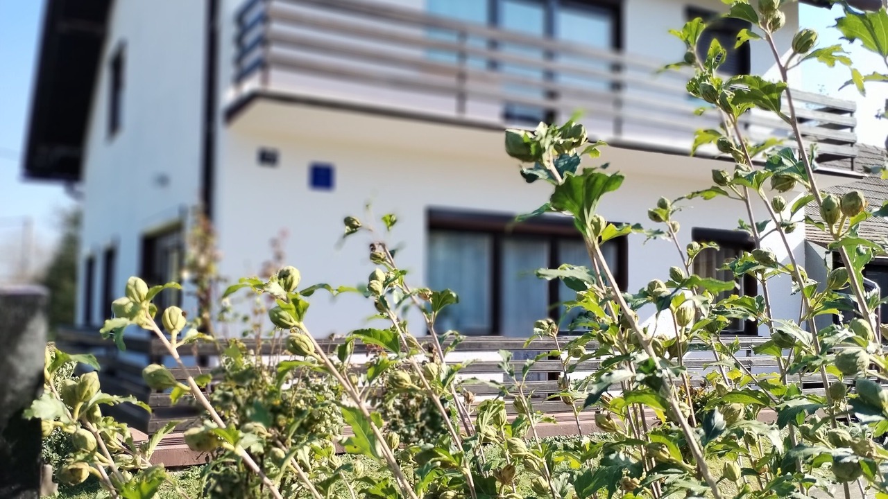 Photo of Outdoor in Koprivnica