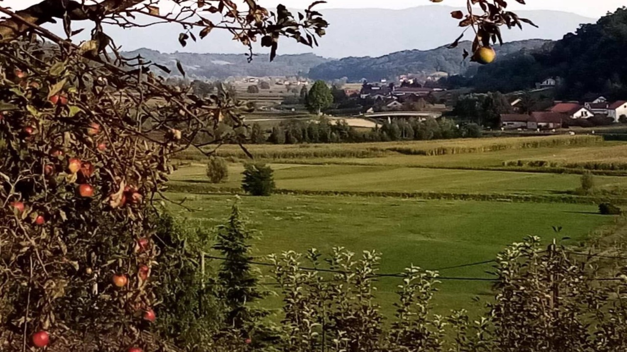 Photo of Others in Tuheljske Toplice