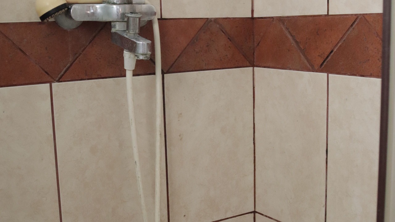 Photo of Bathroom in Palilula