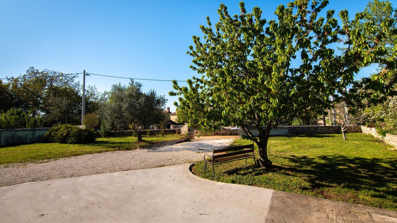 Photo of Others in Stifanici