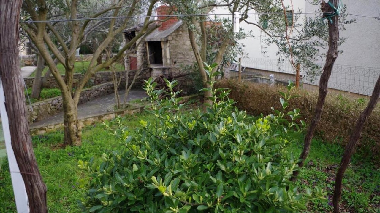 Photo of Outdoor in Jadrija