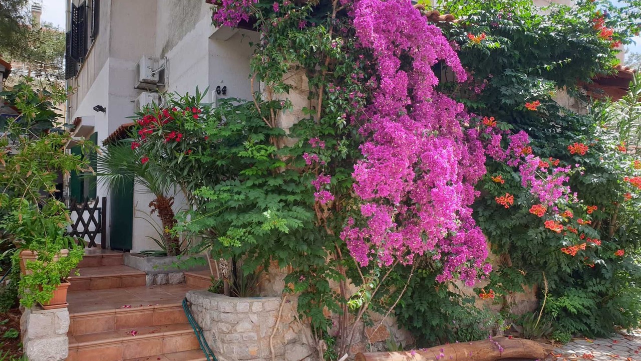 Photo of Outdoor in Artatore