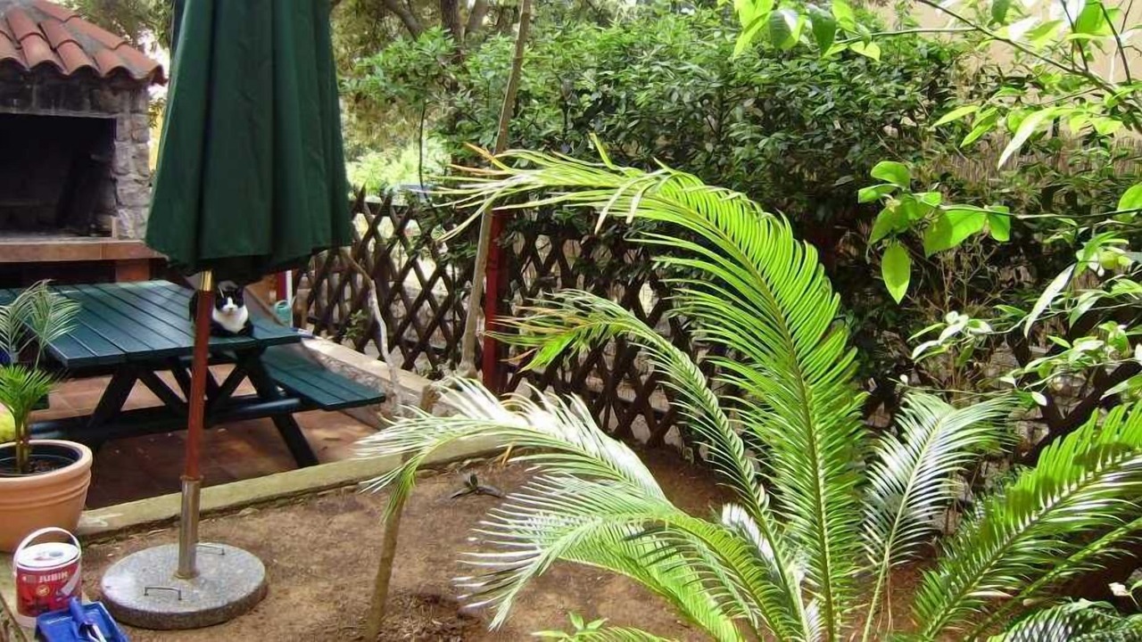 Photo of Outdoor in Artatore