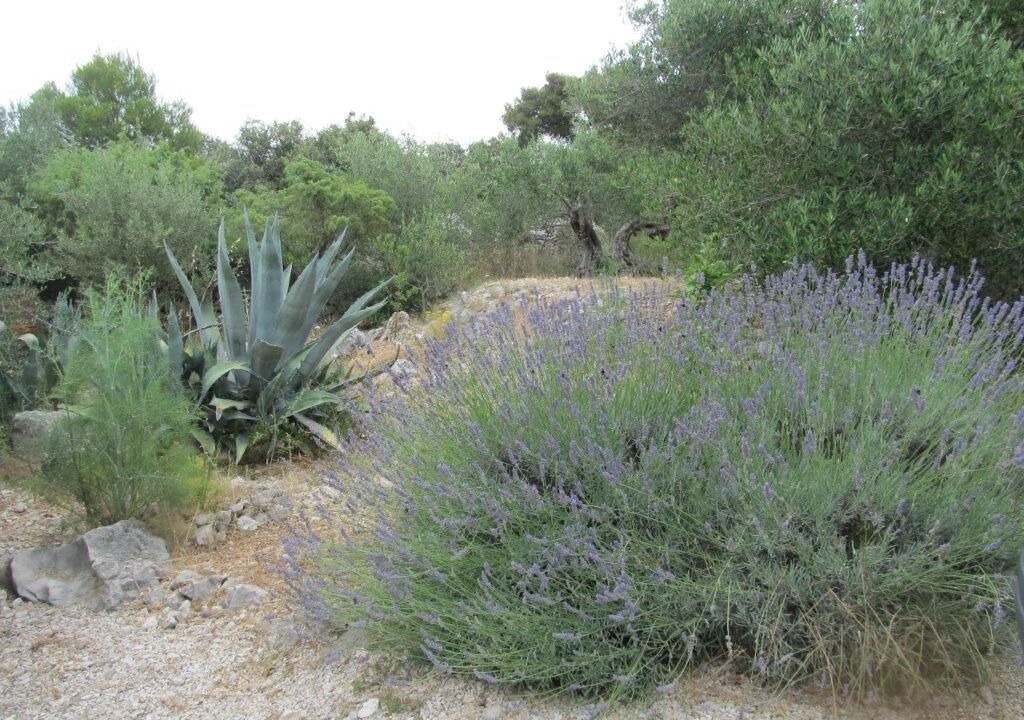 Photo of Outdoor in Razanj