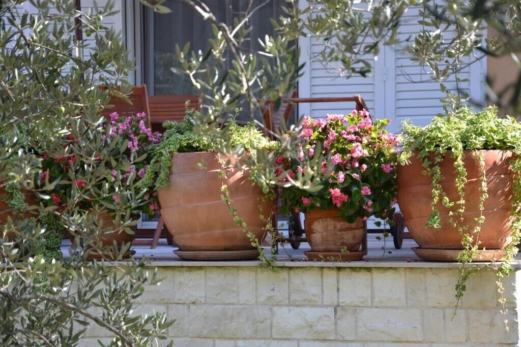 Photo of Outdoor in Brodarica