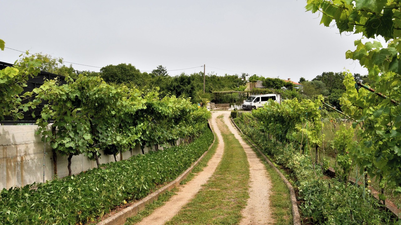 Photo of Outdoor in Vinez