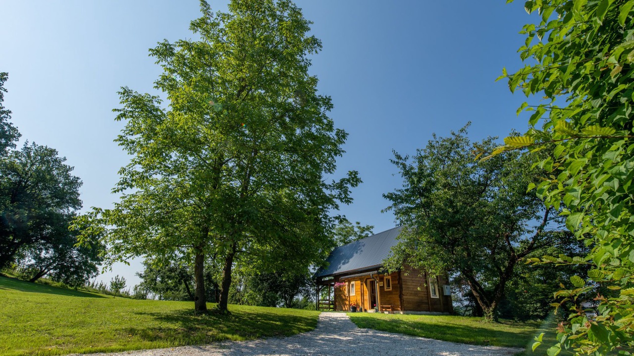 Photo of Others in Karlovac