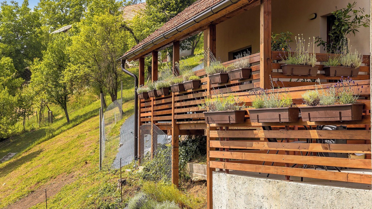 Photo of Outdoor in Bostanj