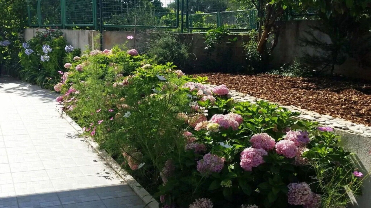 Photo of Outdoor in Arbanija