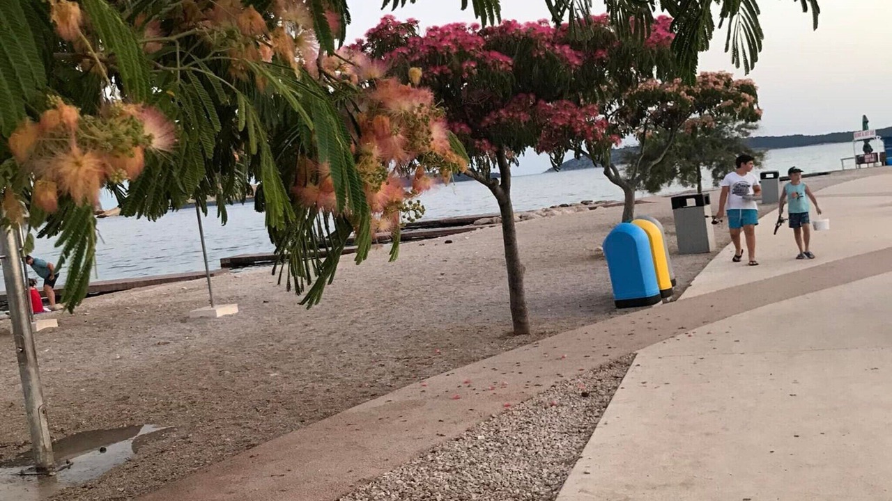 Photo of Outdoor in Brodarica