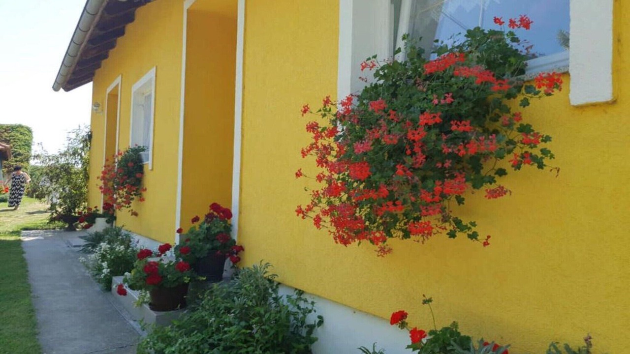 Photo of Outdoor in Draz