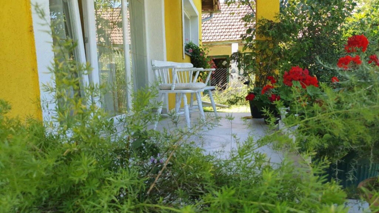 Photo of Outdoor in Draz