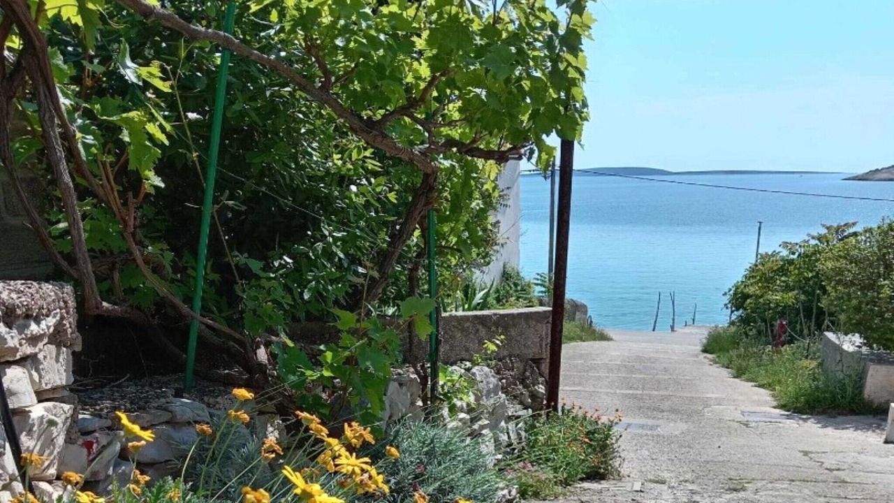 Photo of Outdoor in Martinscica