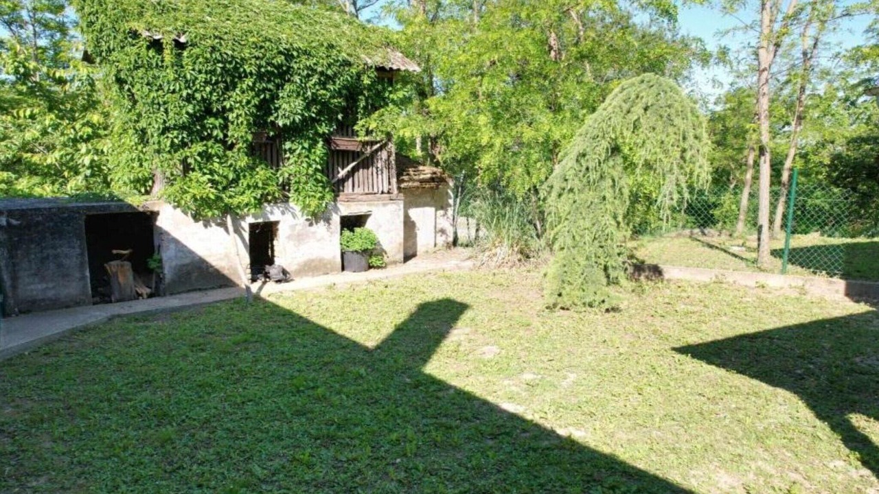 Photo of Outdoor in Batina