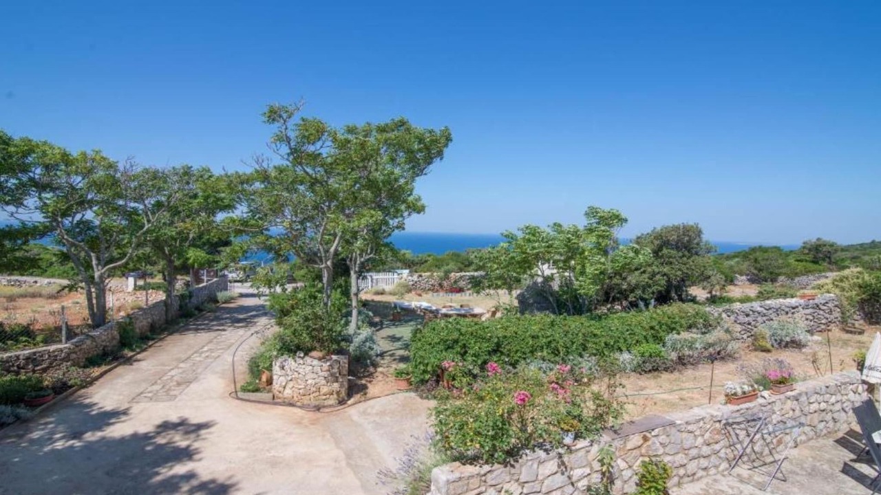 Photo of Outdoor in Veli Losinj