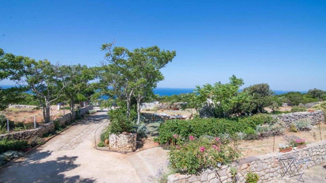 Photo of Outdoor in Veli Losinj