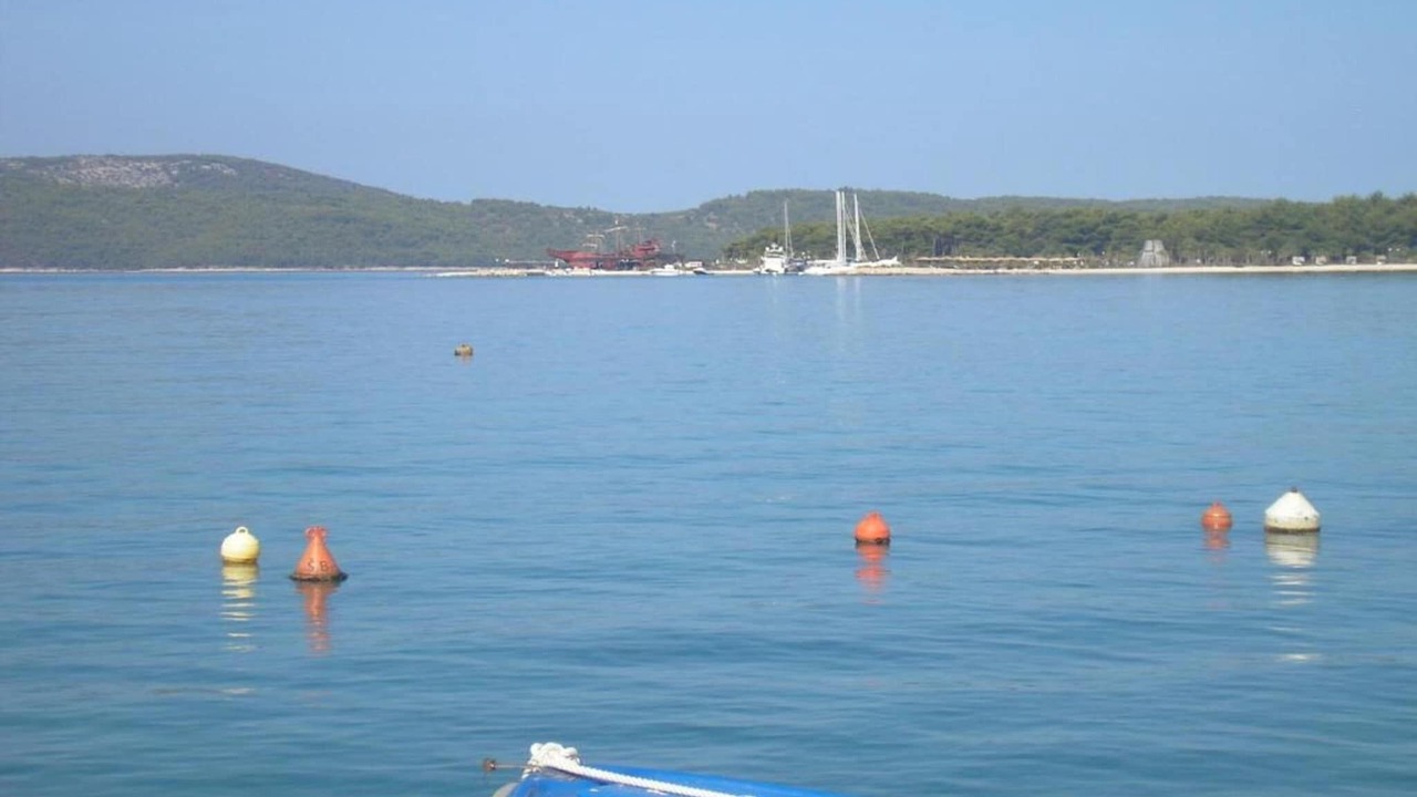 Photo of Others in Brodarica
