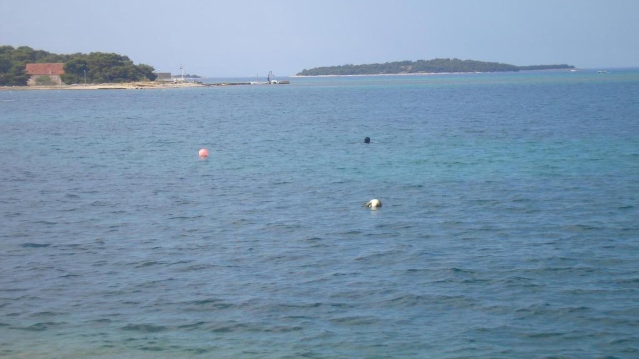 Photo of Others in Brodarica