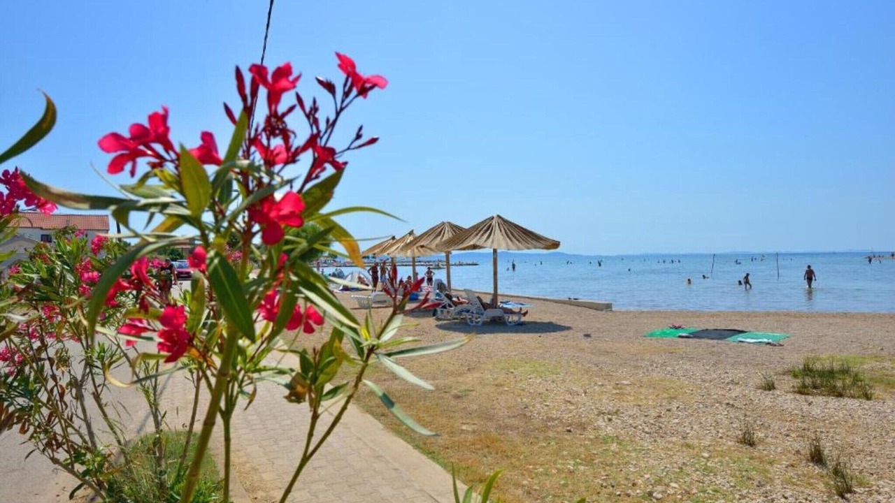 Photo of Others in Raslina