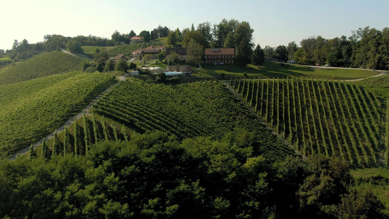 Photo of Others in Donja Stubica