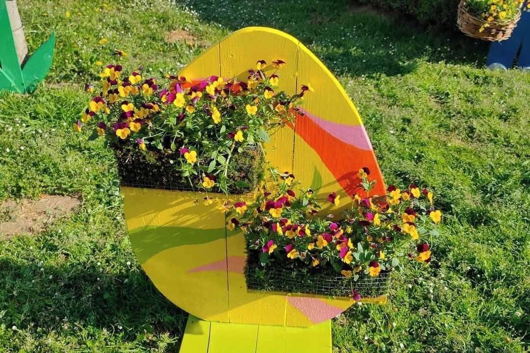 Photo of Outdoor in Vukovar