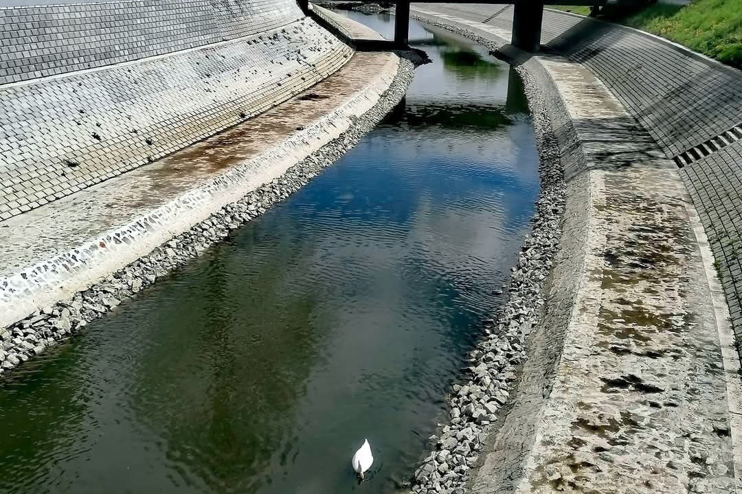 Photo of Others in Vukovar