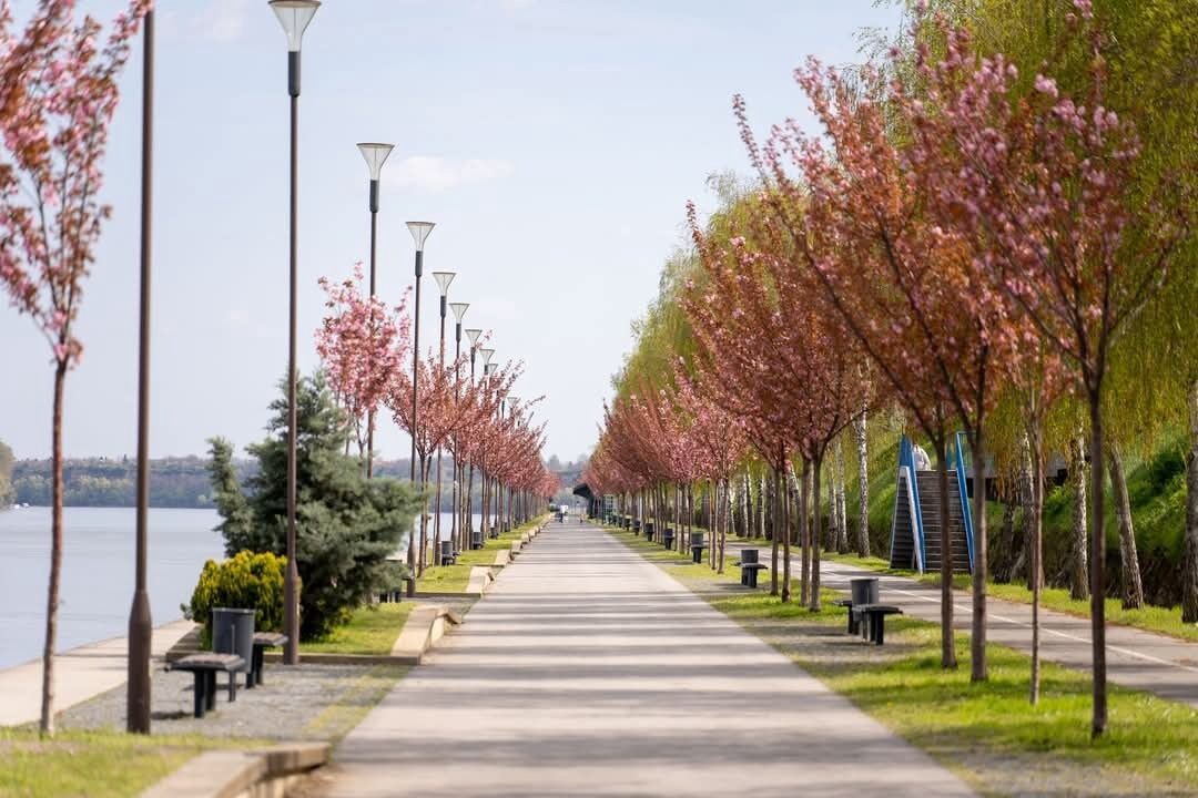 Photo of Others in Vukovar