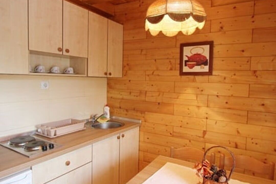 Photo of Kitchen in Zlatibor