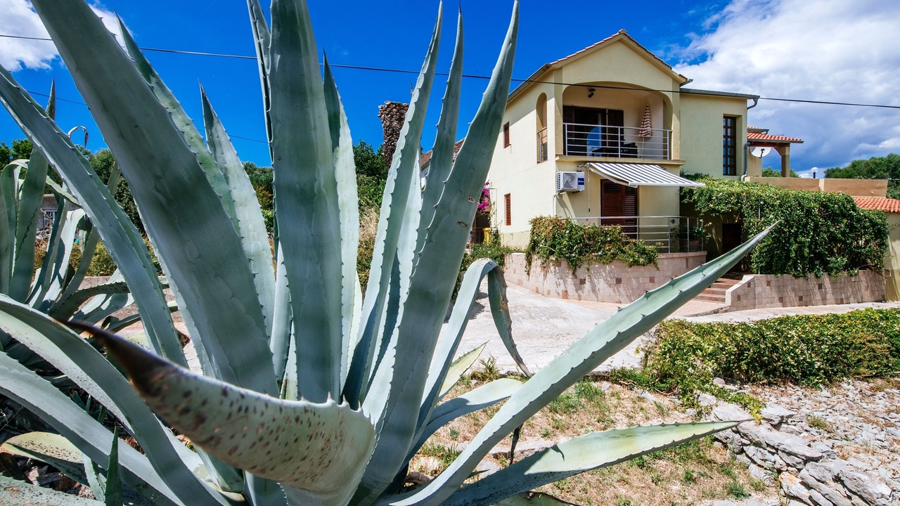 Photo of Outdoor in Island Dugi Otok