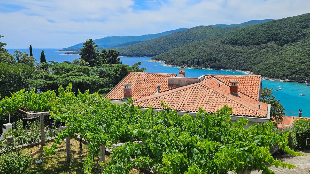 Photo of Others in Rabac
