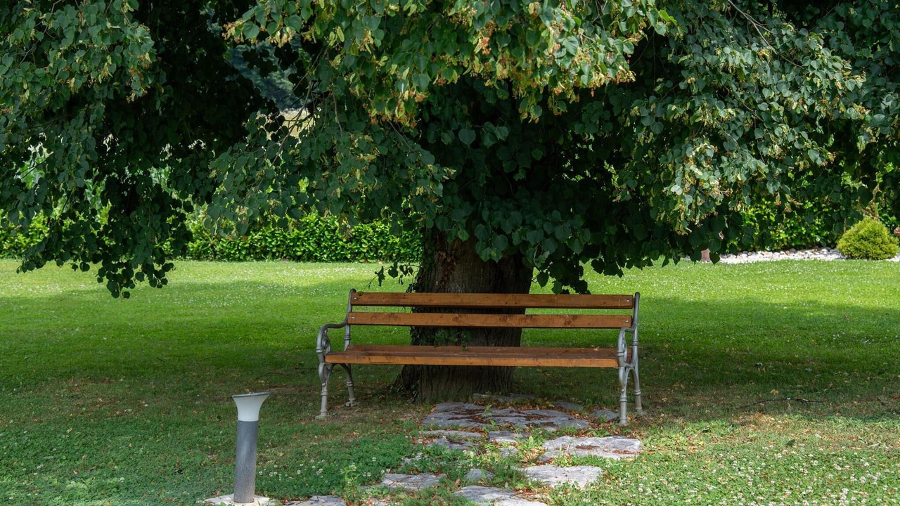 Photo of Others in Veliko Trgovisce