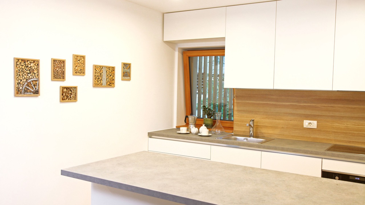 Photo of Kitchen in Bohinjska Bistrica