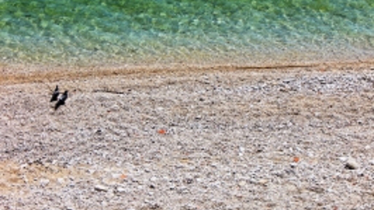 Photo of Others in Brist