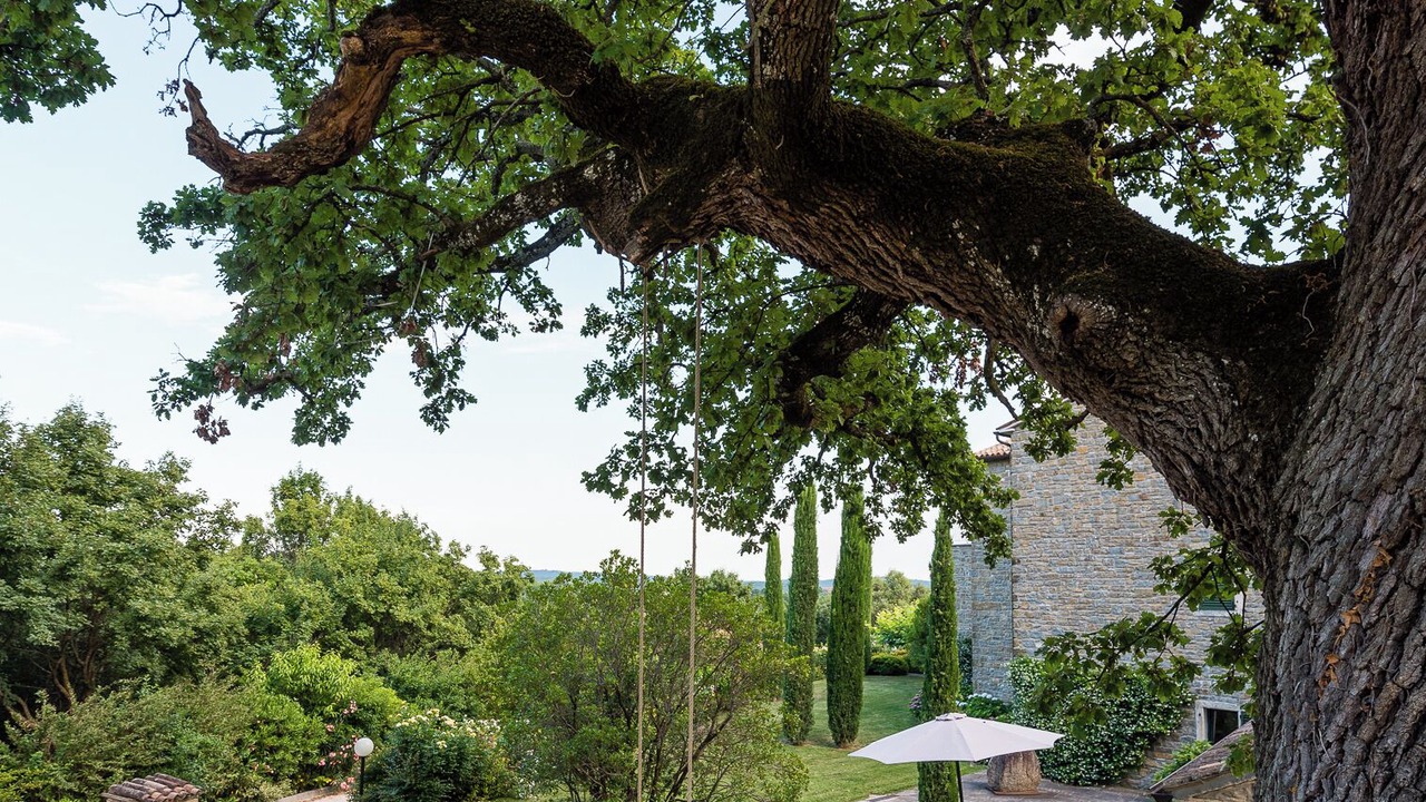 Photo of Outdoor in Marusici