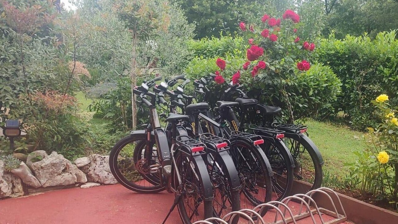 Photo of Outdoor in Fiorini
