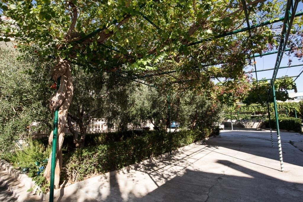 Photo of Outdoor in Central Dalmatia