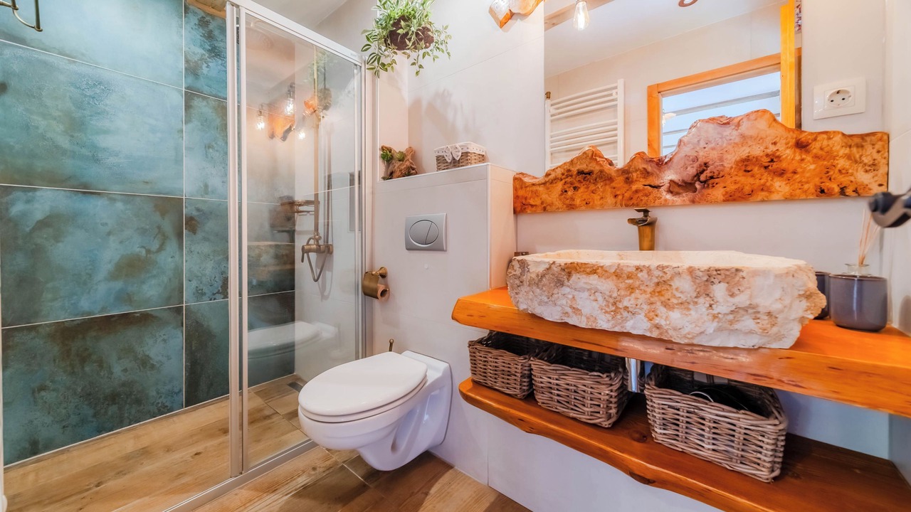 Photo of Bathroom in Bednja