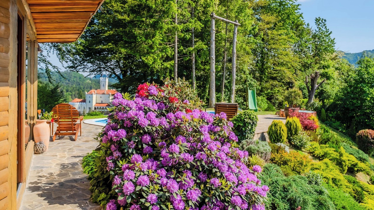 Photo of Outdoor in Bednja