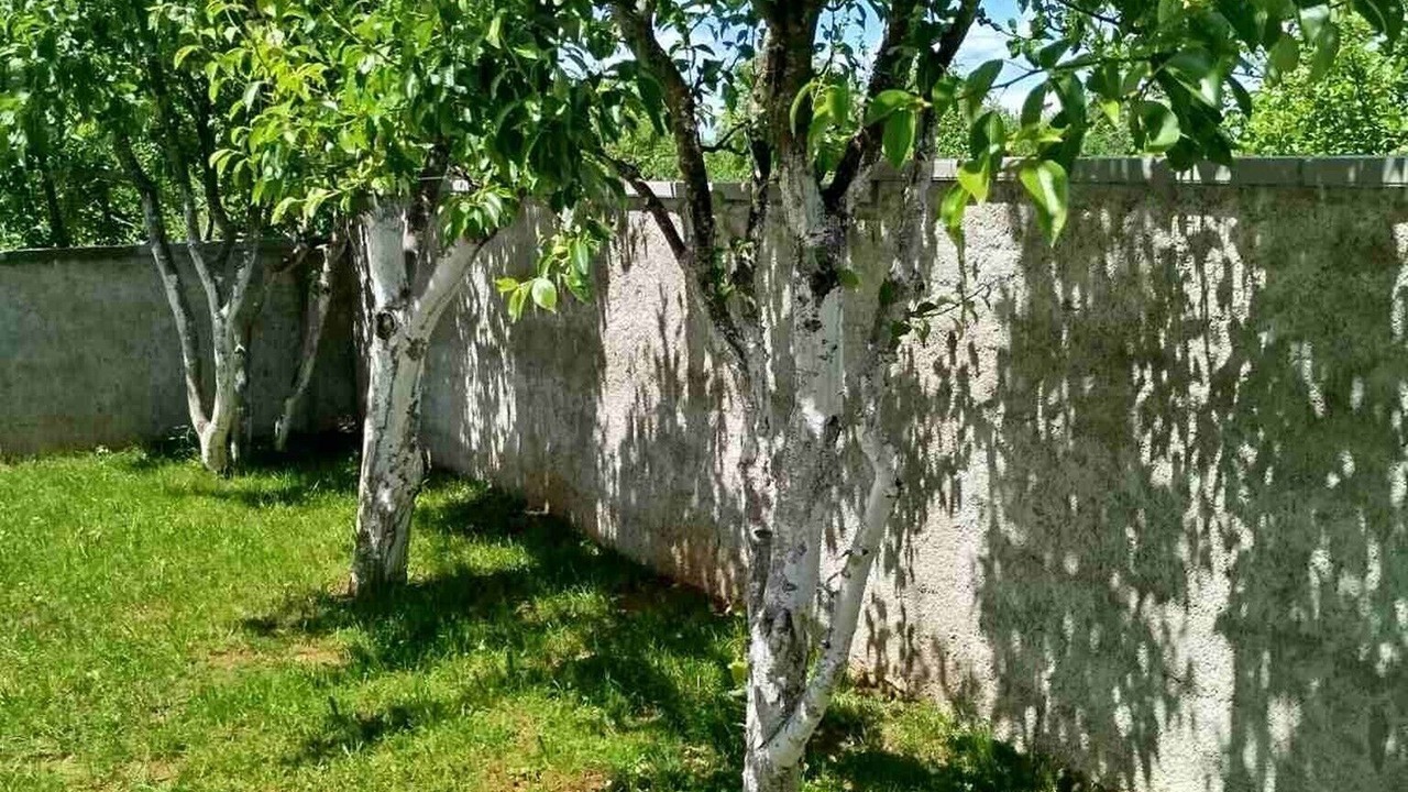 Photo of Outdoor in Bihac
