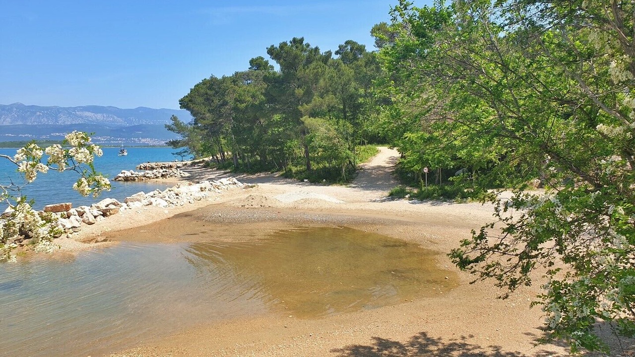 Photo of Others in Soline