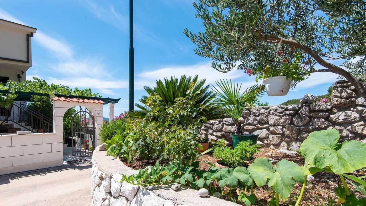 Photo of Outdoor in Orebic