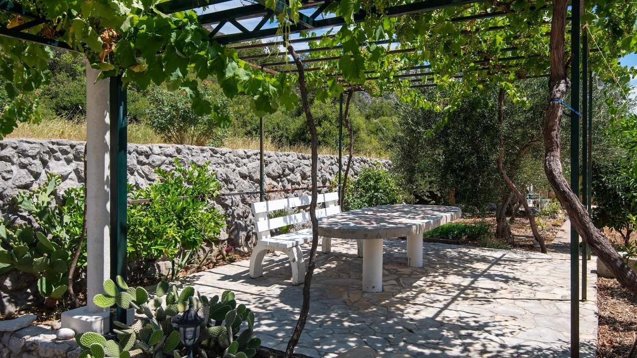 Photo of Outdoor in Orebic
