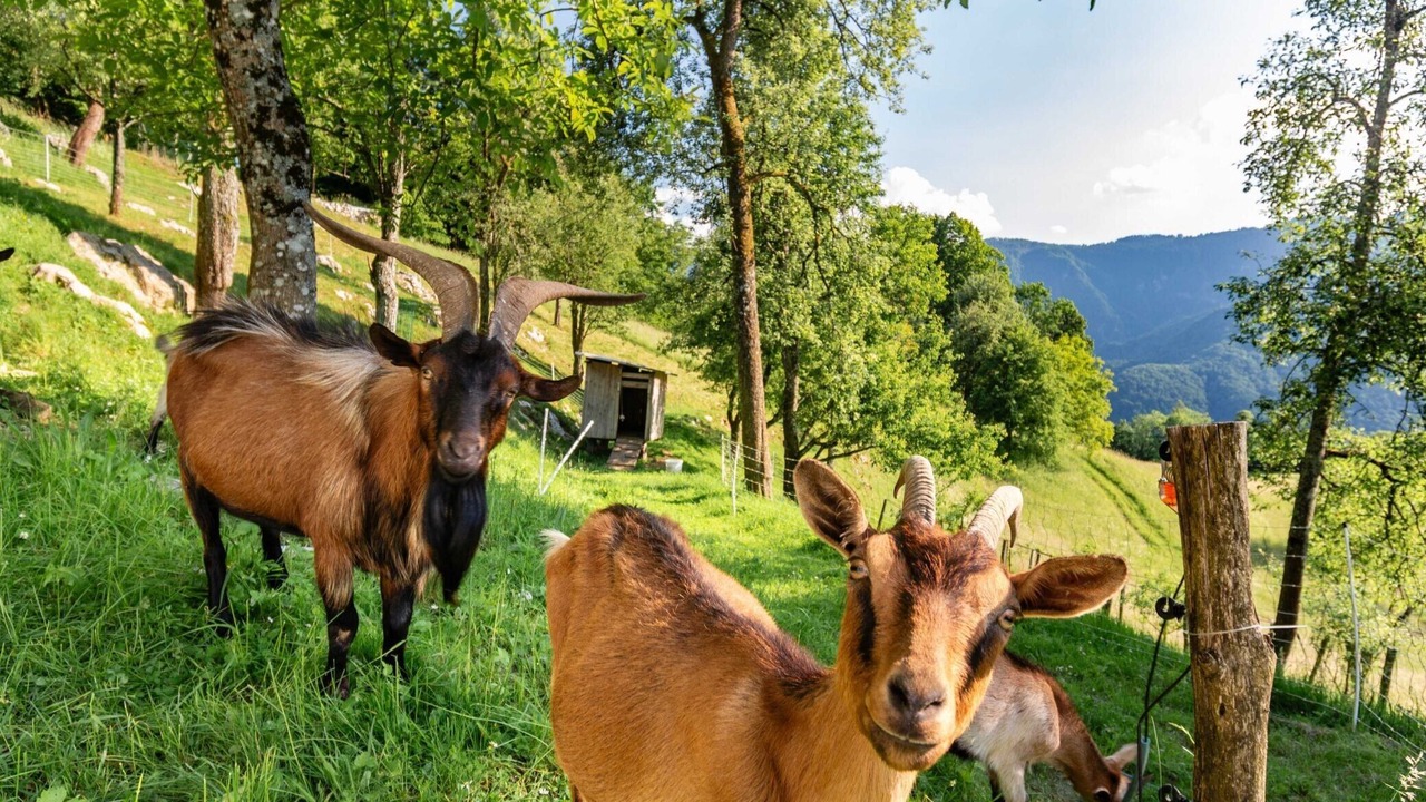 Photo of Outdoor in Tolmin