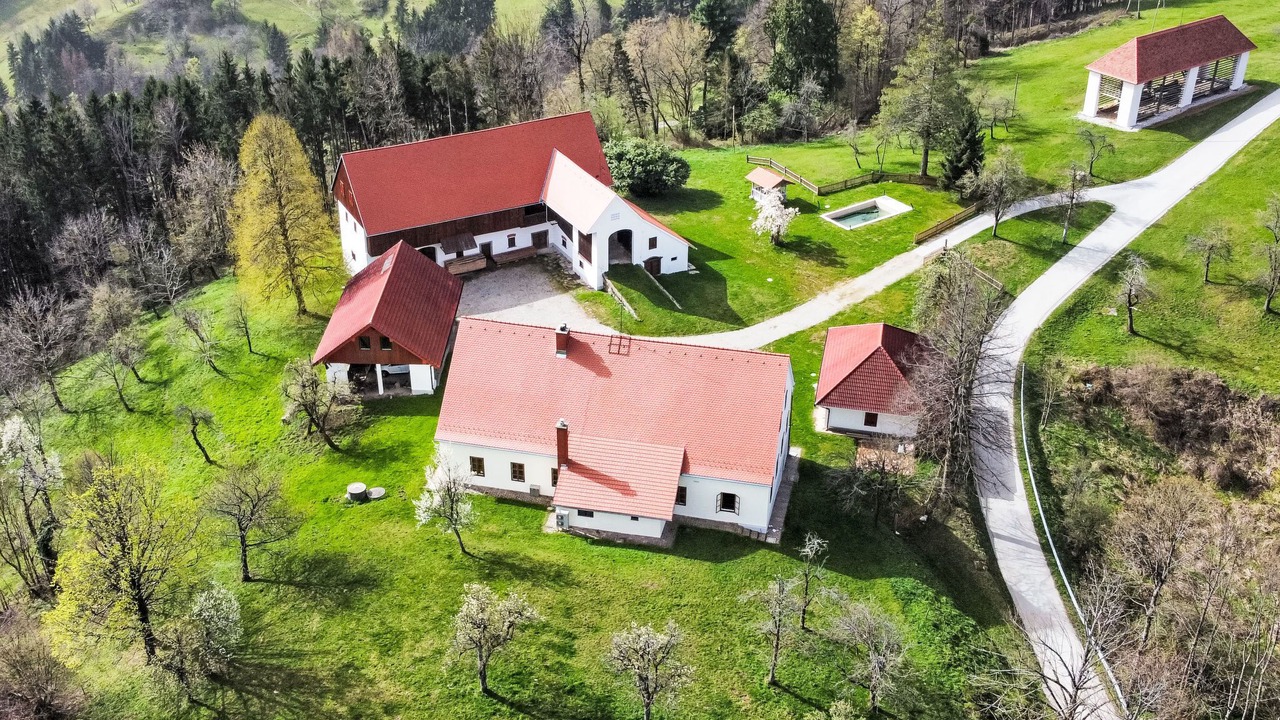 Photo of Others in Pohorje